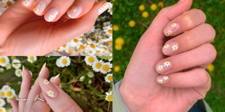 mẫu nail hoa cúc